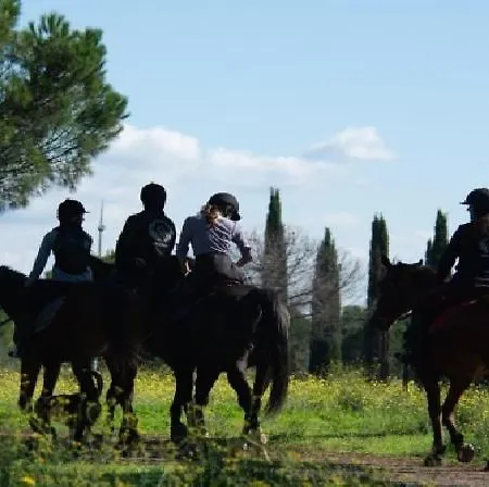 Apartment Lady Butterfly - Metro A Lucio Sestio Rome