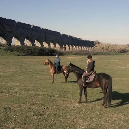 Lady Butterfly - Metro A Lucio Sestio