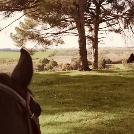 Lady Butterfly - Metro A Lucio Sestio Apartment